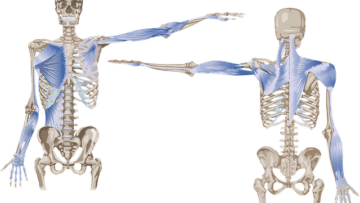 Soporte y movimiento