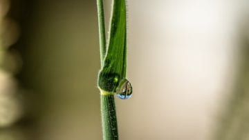 La interacción del agua con otras moléculas