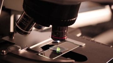 ¿Cómo estudian la vida los científicos?