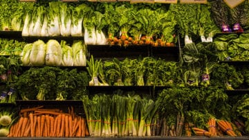 ¿cuáles son los alimentos de origen vegetal?