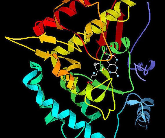 ¿Cómo se clasifican las enzimas?