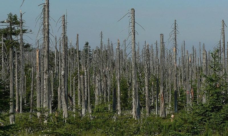 ¿Problemas de la lluvia ácida?