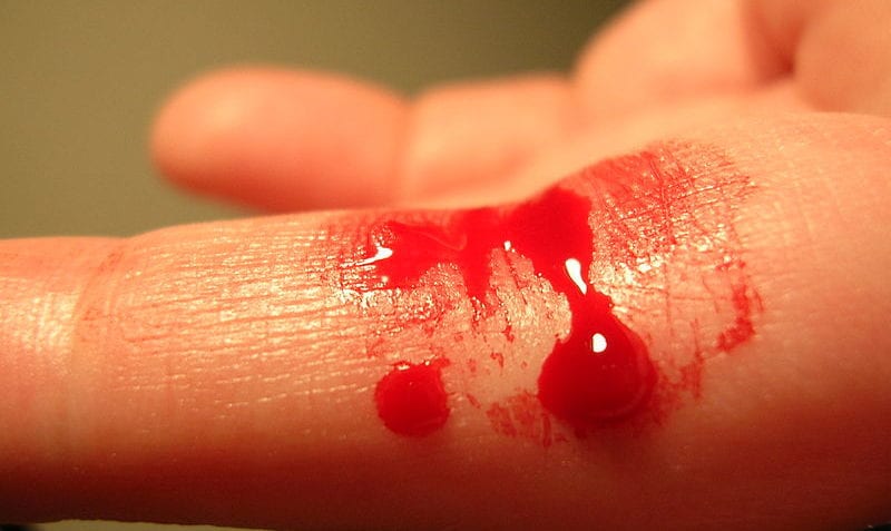 ¿Cómo está compuesta la sangre?