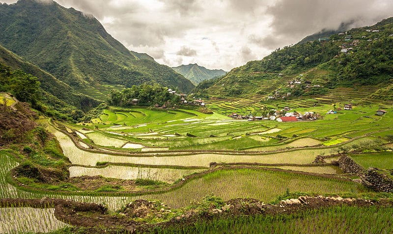 ¿Qué es huella ecológica?