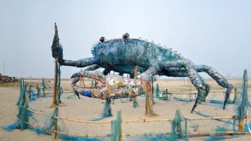 Cómo clasificar la basura