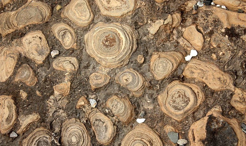 ¿Qué pasó en la era Arcaica?