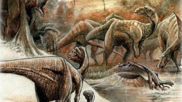 ¿Cómo se divide la era Mesozoica?