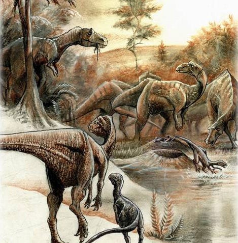 ¿Cómo se divide la era Mesozoica?