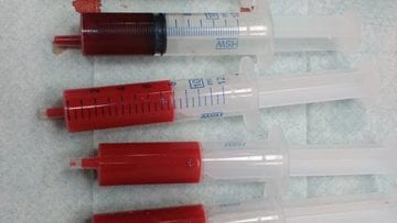 ¿Cuáles son los grupos sanguíneos?