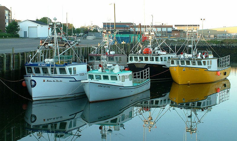 Transporte marítimo