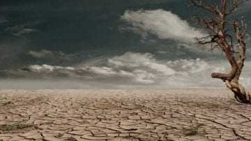 Cambio climático