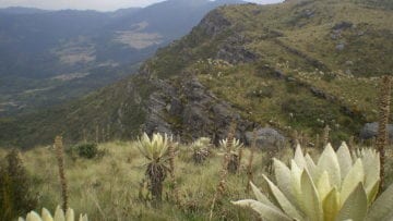 ¿Qué son los páramos?