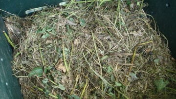 ¿Qué son los desechos orgánicos?