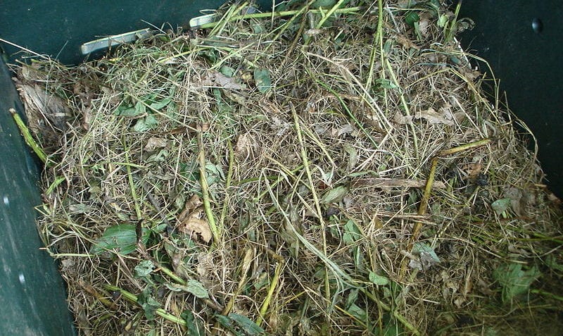 ¿Qué son los desechos orgánicos?