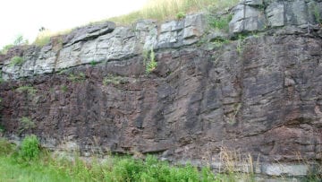 ¿Qué es el carbonífero?