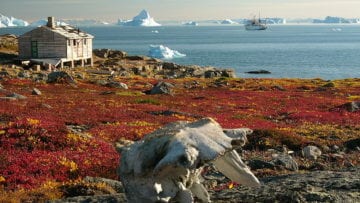 ¿Qué es la tundra?