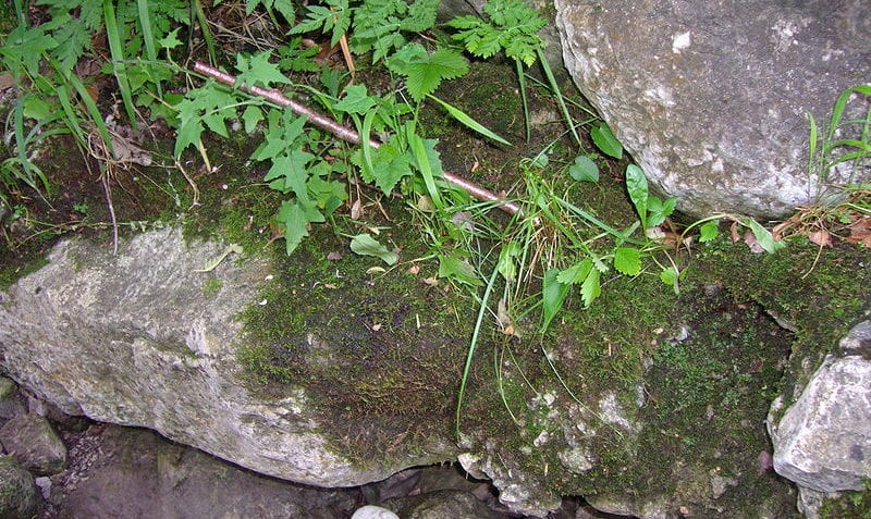 ¿Qué es el suelo orgánico e inorgánico?