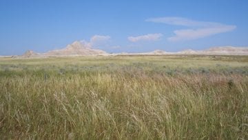 ¿Qué son las praderas?