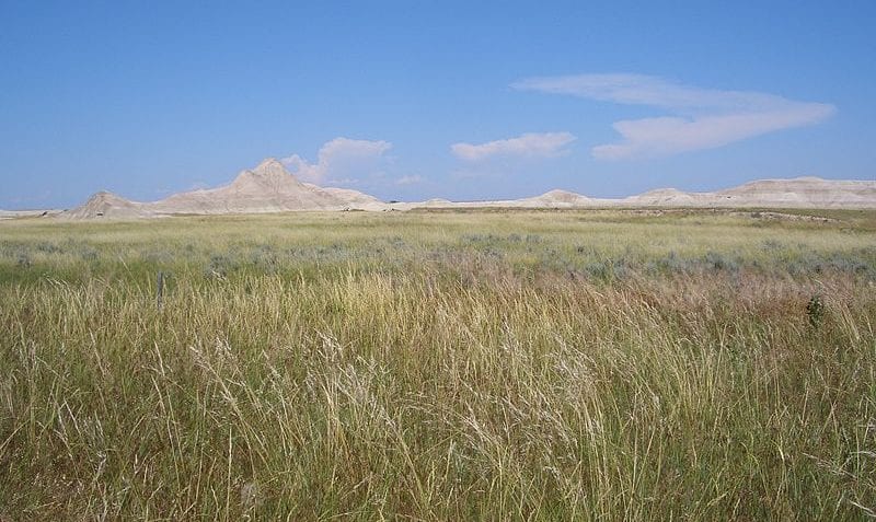 ¿Qué son las praderas?