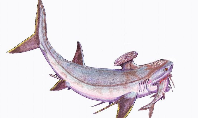 ¿Qué es el Misisípico?