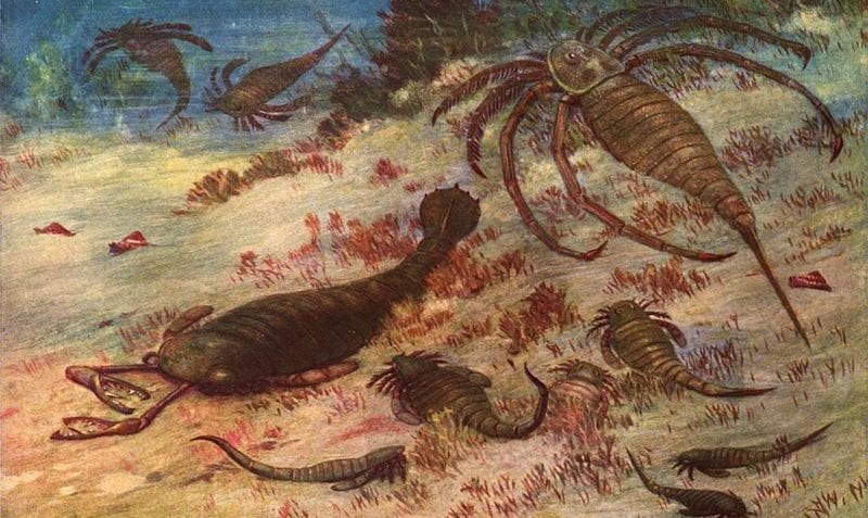 ¿Qué es el silúrico?