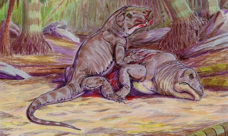 ¿Qués el pérmico?