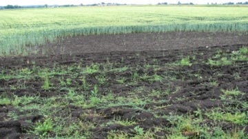 ¿Cuál es la importancia del suelo?