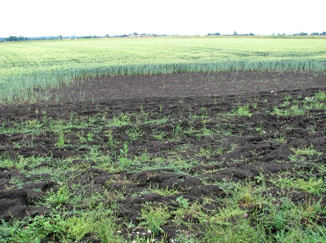 ¿Cuál es la importancia del suelo?