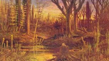 ¿Qué es el devónico?