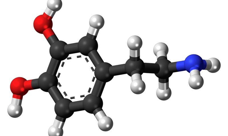 ¿Qué es la dopamina?