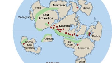 ¿Qué es el Neoproterozoico?