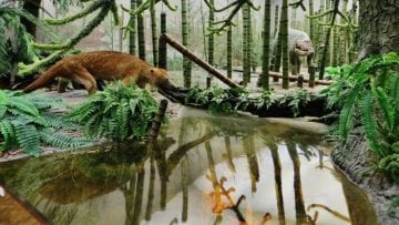 ¿Qué es el triásico?