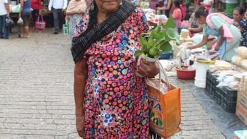 ¿Cuál es el índice de pobreza de México?