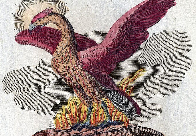 ¿Cuál es la historia del ave fénix?