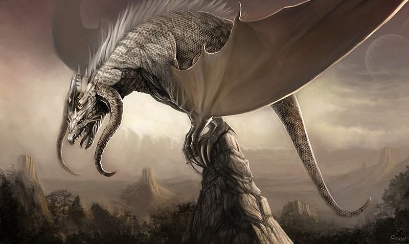 ¿Qué es un dragón?