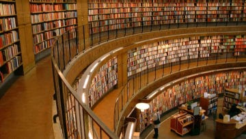 ¿Cómo se clasifican los textos?