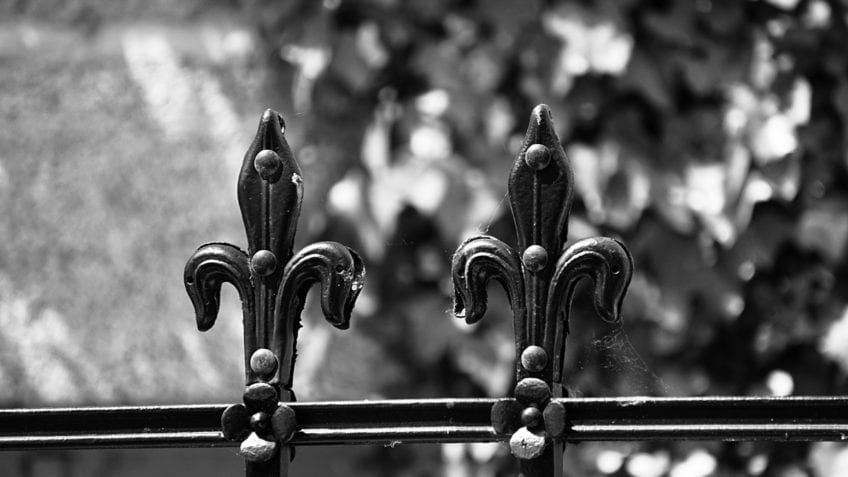 Significado de la flor de lis