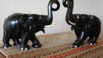 ¿Qué es el ébano?