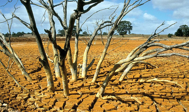 ¿Qué es la contaminación del suelo?