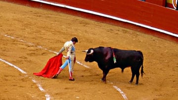 ¿Qué significa "No hay quinto malo"?