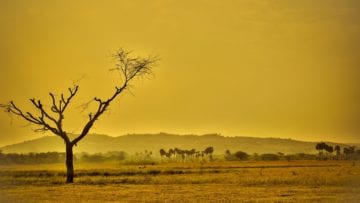 ¿Cuáles son las consecuencias del calentamiento global?