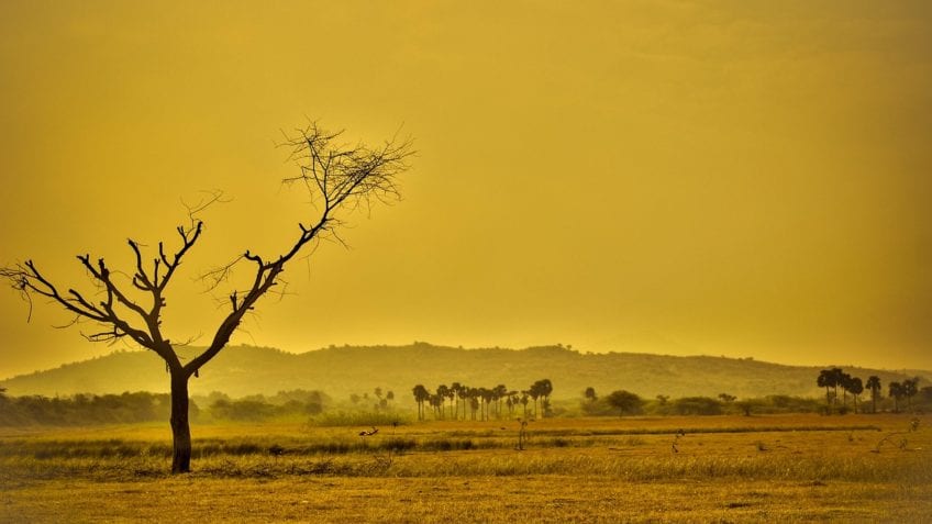 ¿Cuáles son las consecuencias del calentamiento global?