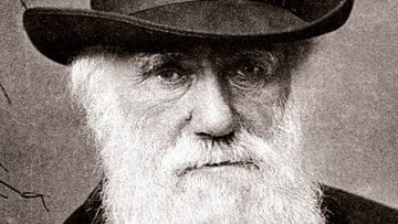 ¿Qué es el darwinismo?