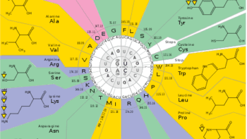 ¿Qué es el código genético?
