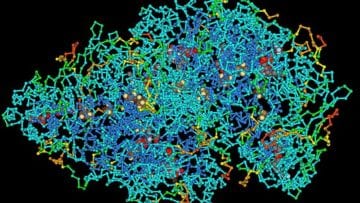 ¿Qué son las macromoléculas?