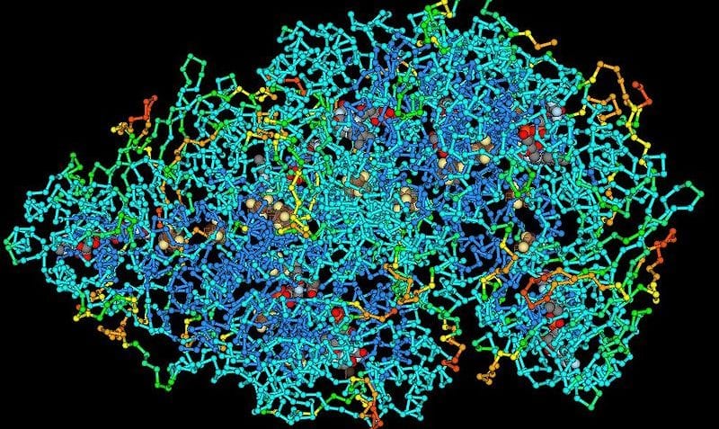 ¿Qué son las macromoléculas?