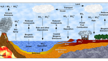 ¿Qué es el ciclo del azufre?