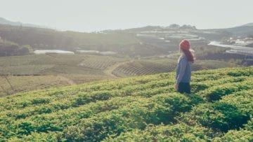 ¿Qué es el sector primario?